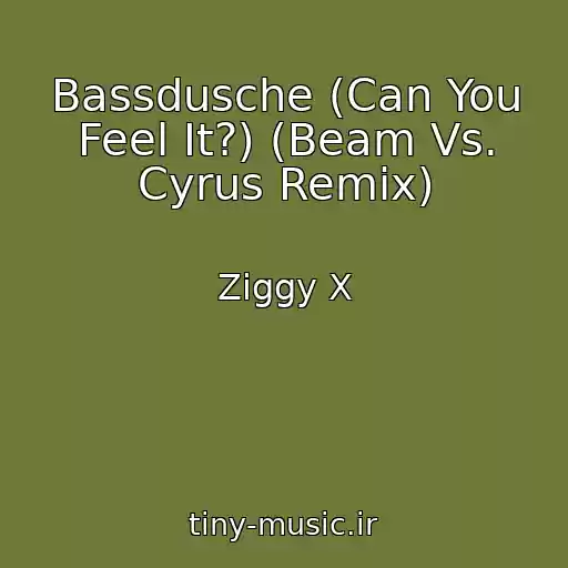 کاور آهنگ Bassdusche (Can You Feel It?) (Beam Vs. Cyrus Remix) از Ziggy X