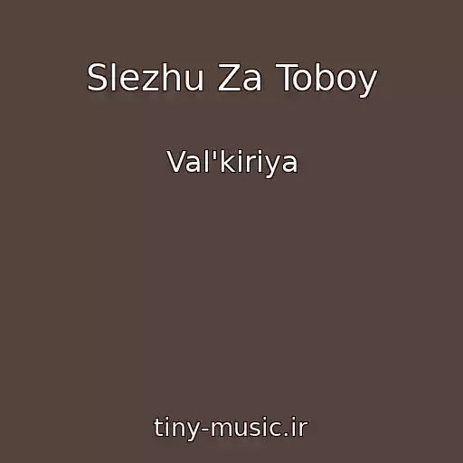 کاور آهنگ Slezhu Za Toboy از Val'kiriya