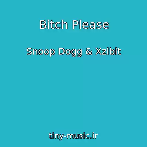 کاور آهنگ Bitch Please از Snoop Dogg & Xzibit