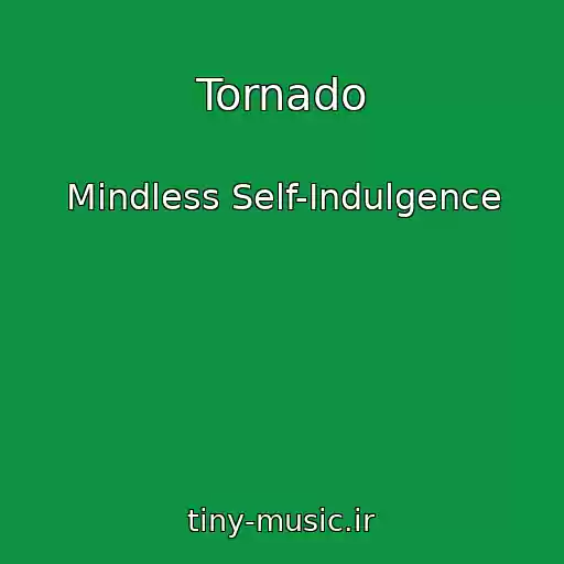 کاور آهنگ Tornado از Mindless Self-Indulgence