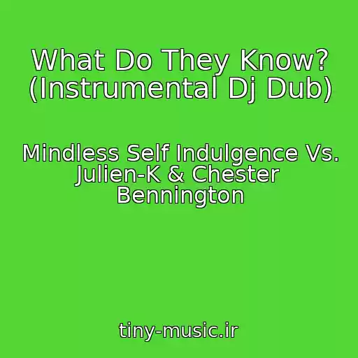 کاور آهنگ What Do They Know? (Instrumental Dj Dub) از Mindless Self Indulgence Vs. Julien-K & Chester Bennington