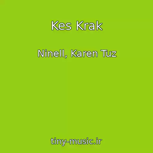 کاور آهنگ Kes Krak از Ninell, Karen Tuz