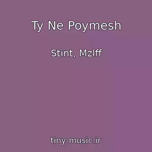 کاور آهنگ Ty Ne Poymesh از Stint, Mzlff