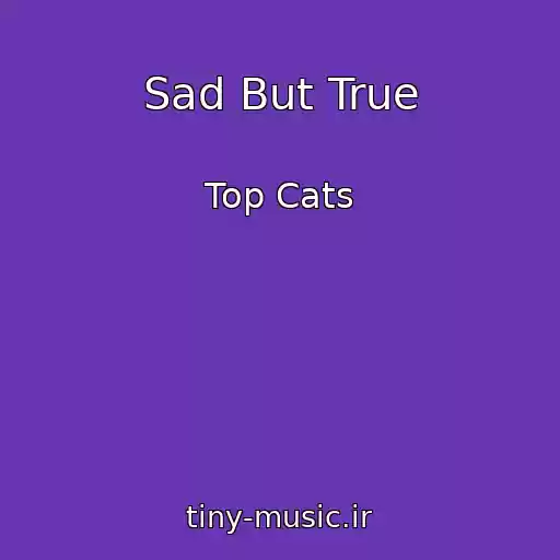 کاور آهنگ Sad But True از Top Cats