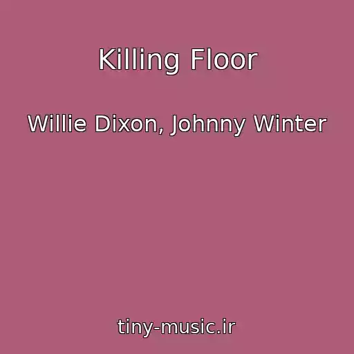 کاور آهنگ Killing Floor از Willie Dixon, Johnny Winter
