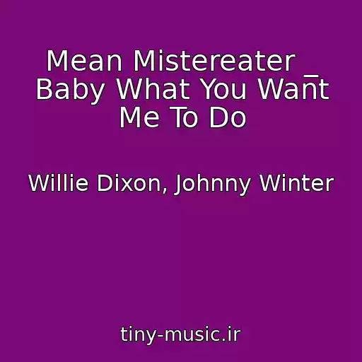 کاور آهنگ Mean Mistereater _ Baby What You Want Me To Do از Willie Dixon, Johnny Winter