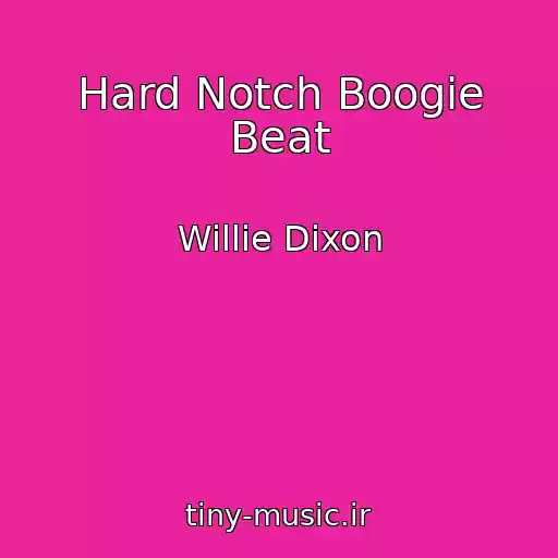 کاور آهنگ Hard Notch Boogie Beat از Willie Dixon