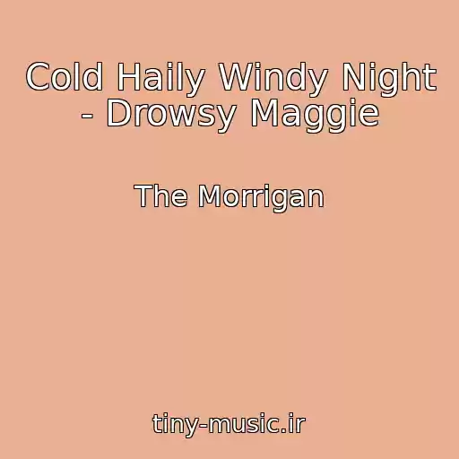کاور آهنگ Cold Haily Windy Night - Drowsy Maggie از The Morrigan