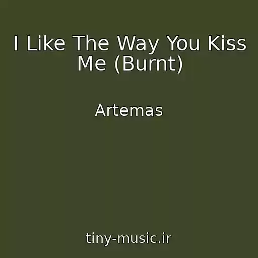 کاور آهنگ I Like The Way You Kiss Me (Burnt) از Artemas
