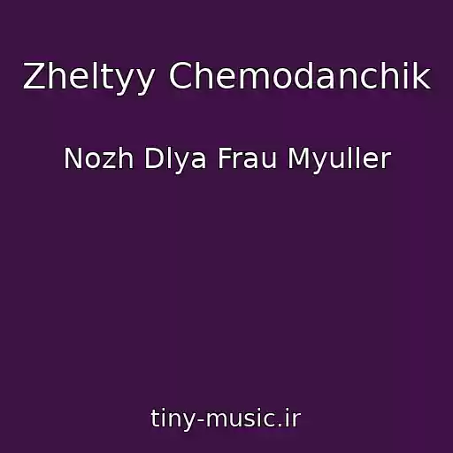 کاور آهنگ Zheltyy Chemodanchik از Nozh Dlya Frau Myuller