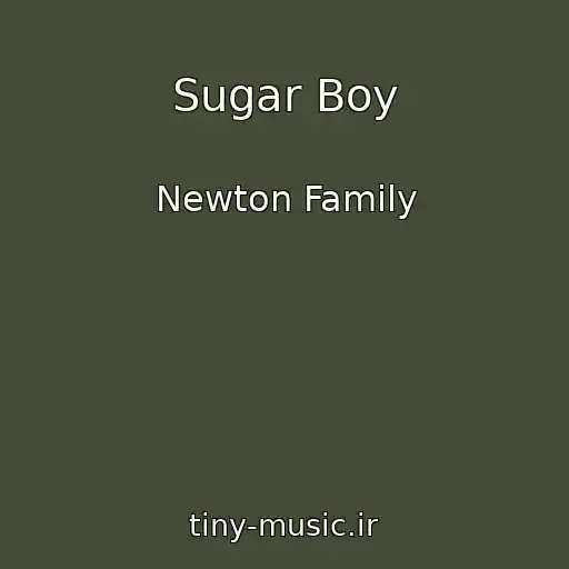 کاور آهنگ Sugar Boy از Newton Family