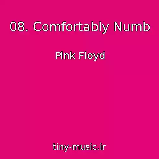 کاور آهنگ 08. Comfortably Numb از Pink Floyd