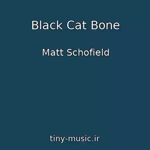 کاور آهنگ Black Cat Bone از Matt Schofield