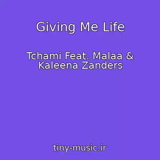 کاور آهنگ Giving Me Life از Tchami Feat. Malaa & Kaleena Zanders