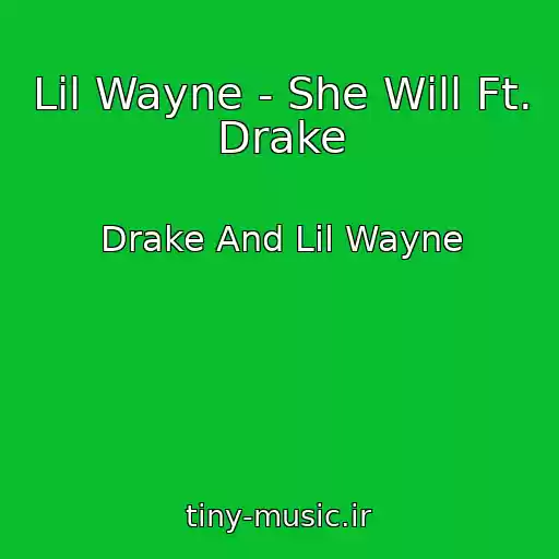کاور آهنگ Lil Wayne - She Will Ft. Drake از Drake And Lil Wayne