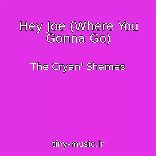کاور آهنگ Hey Joe (Where You Gonna Go) از The Cryan' Shames
