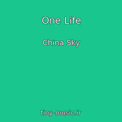 کاور آهنگ One Life از China Sky
