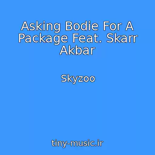 کاور آهنگ Asking Bodie For A Package Feat. Skarr Akbar از Skyzoo