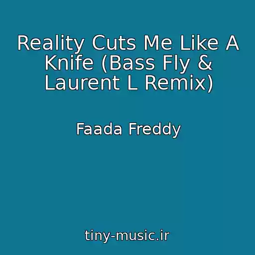 کاور آهنگ Reality Cuts Me Like A Knife (Bass Fly & Laurent L Remix) از Faada Freddy