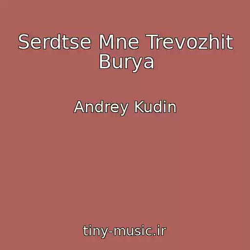 کاور آهنگ Serdtse Mne Trevozhit Burya از Andrey Kudin