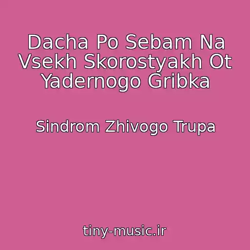 کاور آهنگ Dacha Po Sebam Na Vsekh Skorostyakh Ot Yadernogo Gribka از Sindrom Zhivogo Trupa