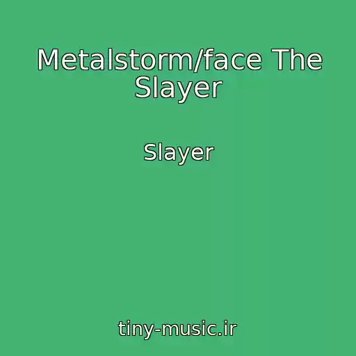 کاور آهنگ Metalstorm/face The Slayer از Slayer