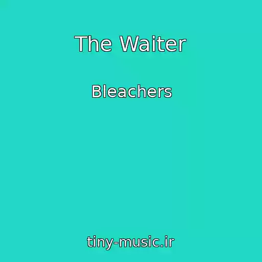 کاور آهنگ The Waiter از Bleachers