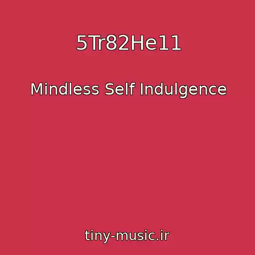 کاور آهنگ 5Tr82He11 از Mindless Self Indulgence