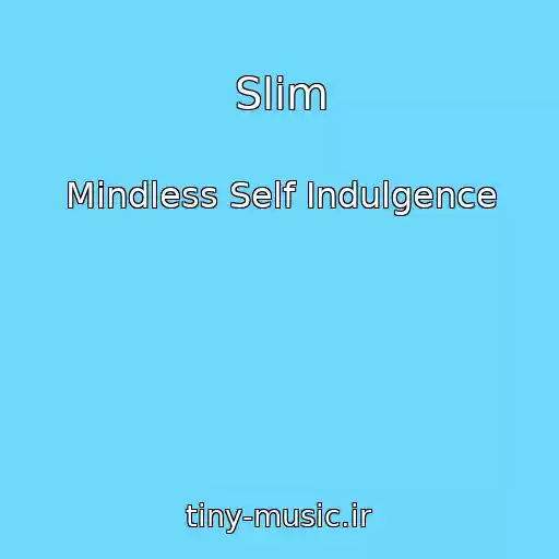 کاور آهنگ Slim از Mindless Self Indulgence
