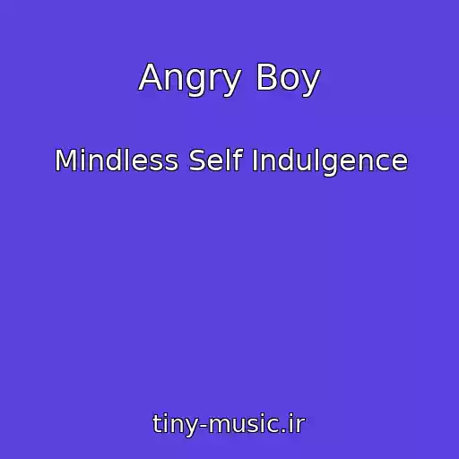 کاور آهنگ Angry Boy از Mindless Self Indulgence