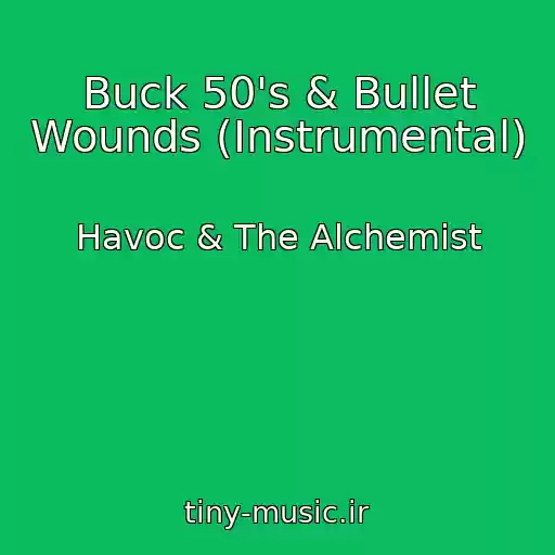 کاور آهنگ Buck 50's & Bullet Wounds (Instrumental) از Havoc & The Alchemist