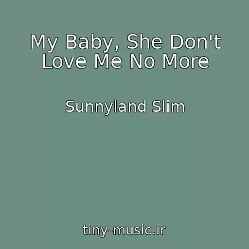کاور آهنگ My Baby, She Don't Love Me No More از Sunnyland Slim