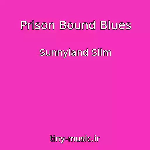 کاور آهنگ Prison Bound Blues از Sunnyland Slim