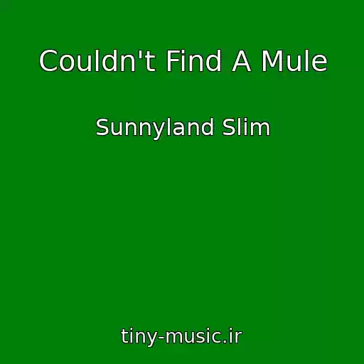 کاور آهنگ Couldn't Find A Mule از Sunnyland Slim
