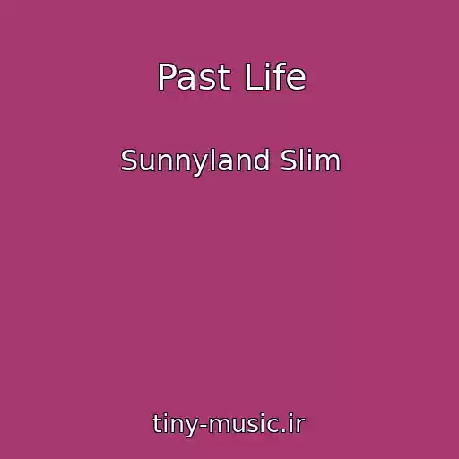 کاور آهنگ Past Life از Sunnyland Slim