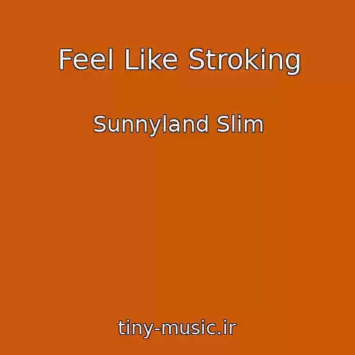 کاور آهنگ Feel Like Stroking از Sunnyland Slim