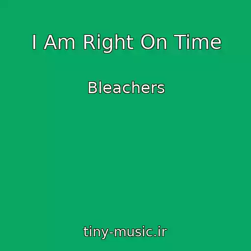 کاور آهنگ I Am Right On Time از Bleachers