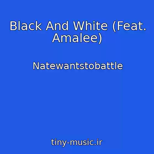 کاور آهنگ Black And White (Feat. Amalee) از Natewantstobattle