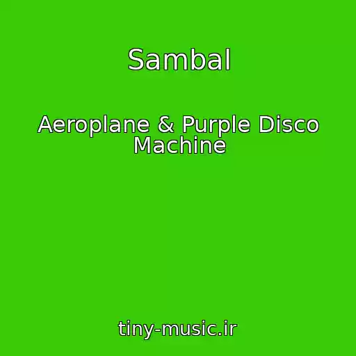 کاور آهنگ Sambal از Aeroplane & Purple Disco Machine