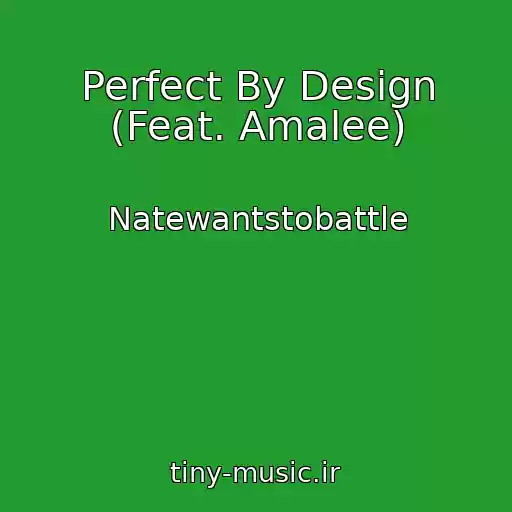 کاور آهنگ Perfect By Design (Feat. Amalee) از Natewantstobattle