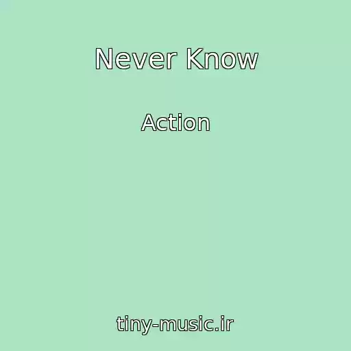کاور آهنگ Never Know از Action