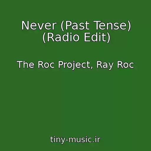 کاور آهنگ Never (Past Tense) (Radio Edit) از The Roc Project, Ray Roc