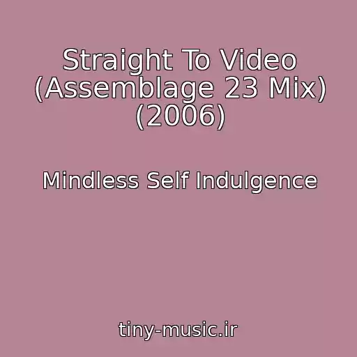 کاور آهنگ Straight To Video (Assemblage 23 Mix) (2006) از Mindless Self Indulgence