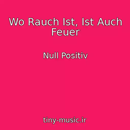 کاور آهنگ Wo Rauch Ist, Ist Auch Feuer از Null Positiv