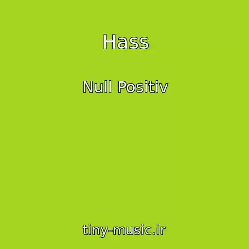 کاور آهنگ Hass از Null Positiv