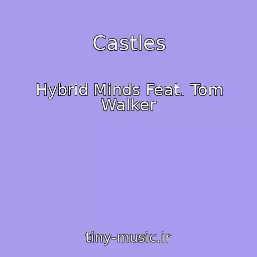 کاور آهنگ Castles از Hybrid Minds Feat. Tom Walker