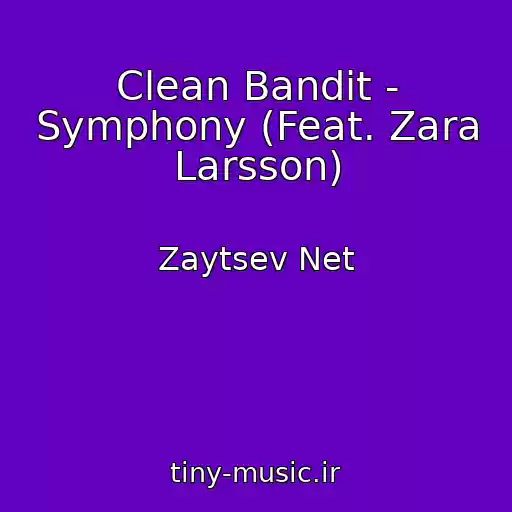 کاور آهنگ Clean Bandit - Symphony (Feat. Zara Larsson) از Zaytsev Net
