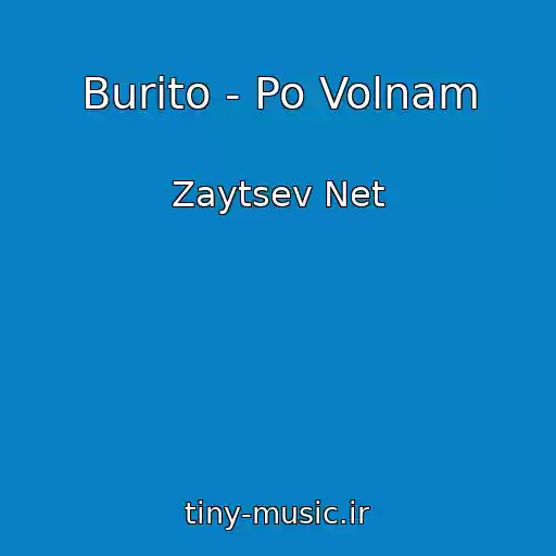 کاور آهنگ Burito - Po Volnam از Zaytsev Net