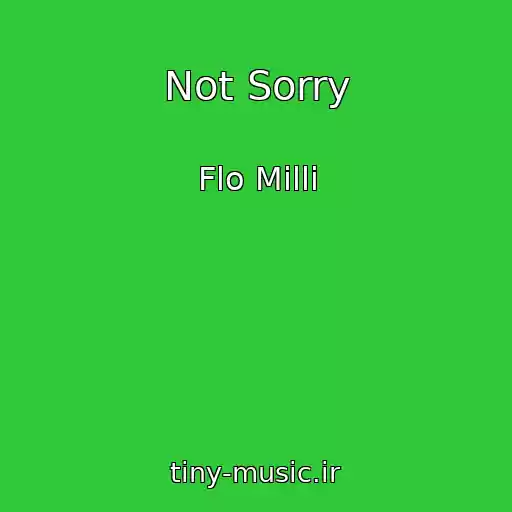 کاور آهنگ Not Sorry از Flo Milli