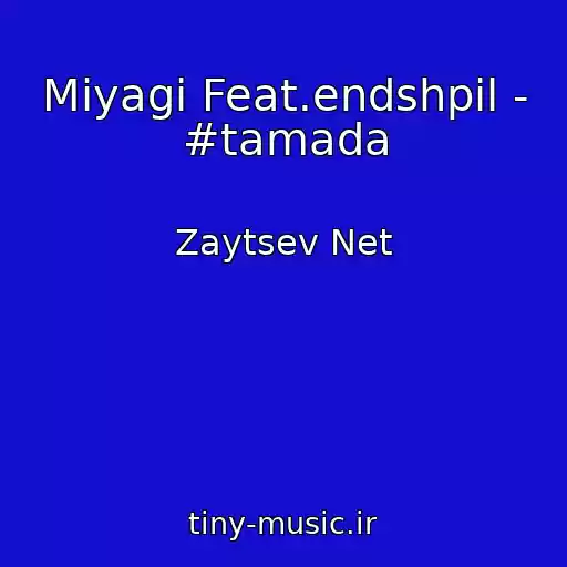 کاور آهنگ Miyagi Feat.endshpil - #tamada از Zaytsev Net
